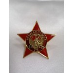 Знак 75 лет Победы