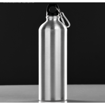 Бутылка для воды, 750 мл "Классика", 7 х 24.5 см, корпус из алюминия Бутылка для воды, 750 мл "Классика", 7 х 24.5 см, корпус из алюминия