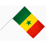 Флаг 15 х 22 см Сенегал на палочке