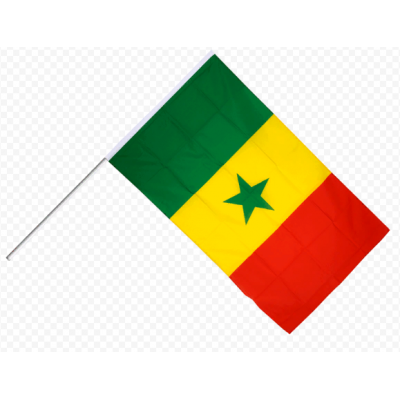Флаг 15 х 22 см Сенегал на палочке Флаг 15 х 22 см Сенегал на палочке