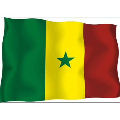 Флаг 90 х135 см Сенегал Флаг 90 х135 см Сенегал