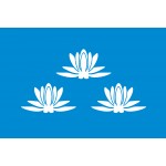 Флаг 90 х135 см Новокуйбышевск