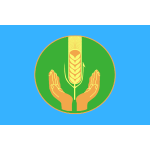 Флаг 90 х135 см Похвистнево