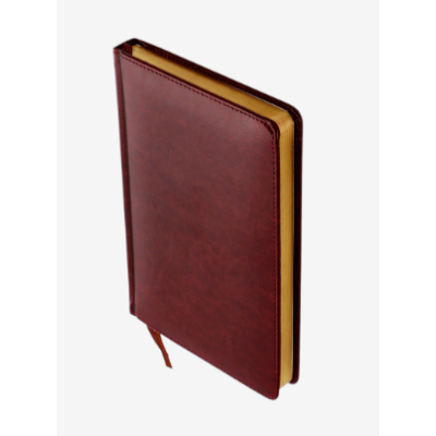 Ежедневник недатированный А5, 136 листов в линейку, кожзам «Небраска», золотой срез, коричневый Ежедневник недатированный А5, 136 листов в линейку, кожзам «Небраска», золотой срез, коричневый