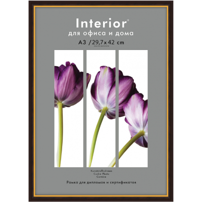 Рамка 29.7x42 см, пластик со стеклом, багет 14мм, красное дерево Рамка 29.7x42 см, пластик со стеклом, багет 14мм, красное дерево